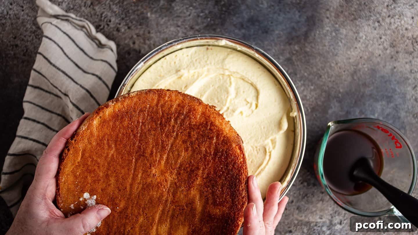 Placing a layer of sponge cake over the tiramisu filling.