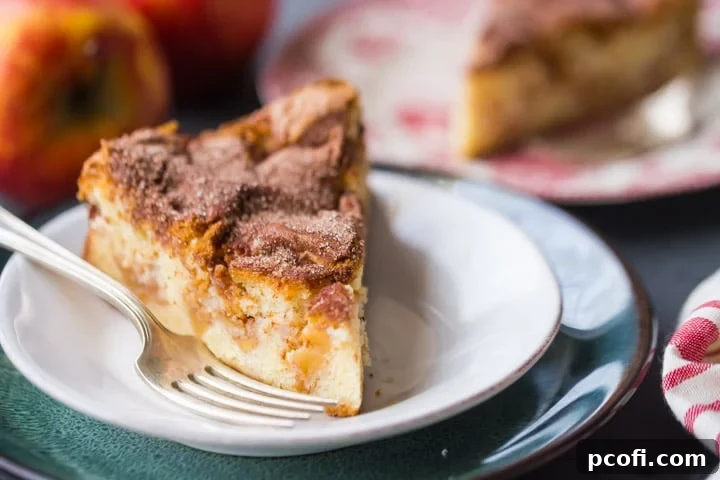 Cream Cheese Jewish Apple Cake Recipe: A slice of heavenly apple cake, revealing its moist interior, spiced apples, and delectable crust.