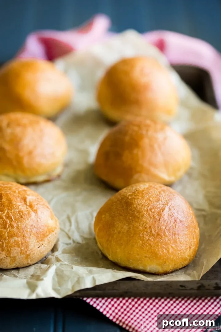 Freshly kneaded brioche dough, smooth and elastic, ready for its first rise