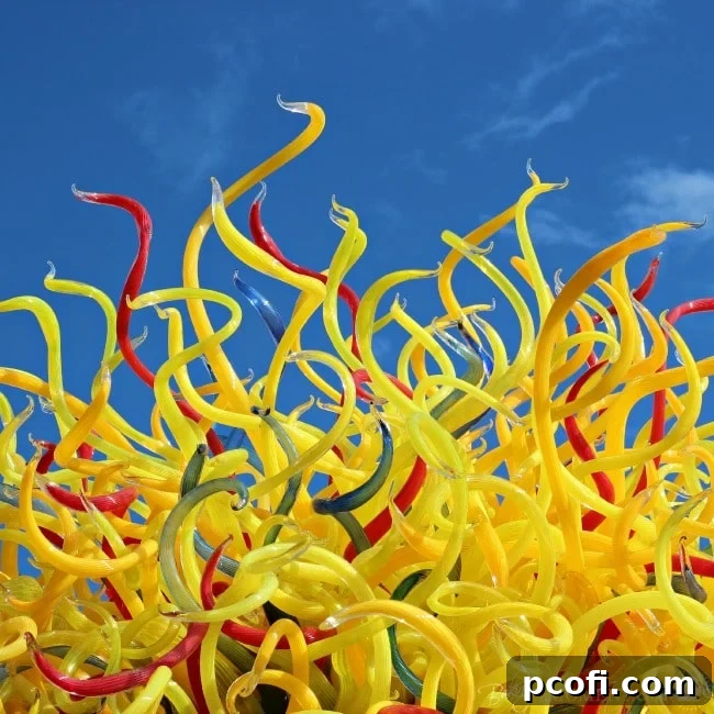 Chihuly Garden and Glass Exhibition in Seattle