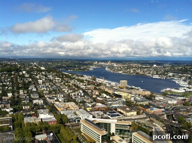 The iconic Space Needle towering over Seattle