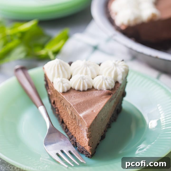 Refreshing Mint Chocolate Icebox Pie with a decadent chocolate cookie crust, creamy mint chocolate mousse filling, and elegant whipped cream rosettes, garnished with fresh mint. Perfect for summer gatherings.