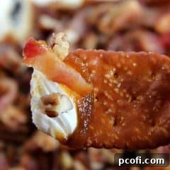 Pecan Pumpkin Butter Dip elegantly presented on a serving platter with accompanying dippers.