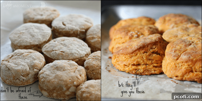 Visual guide to making flaky biscuits with layers