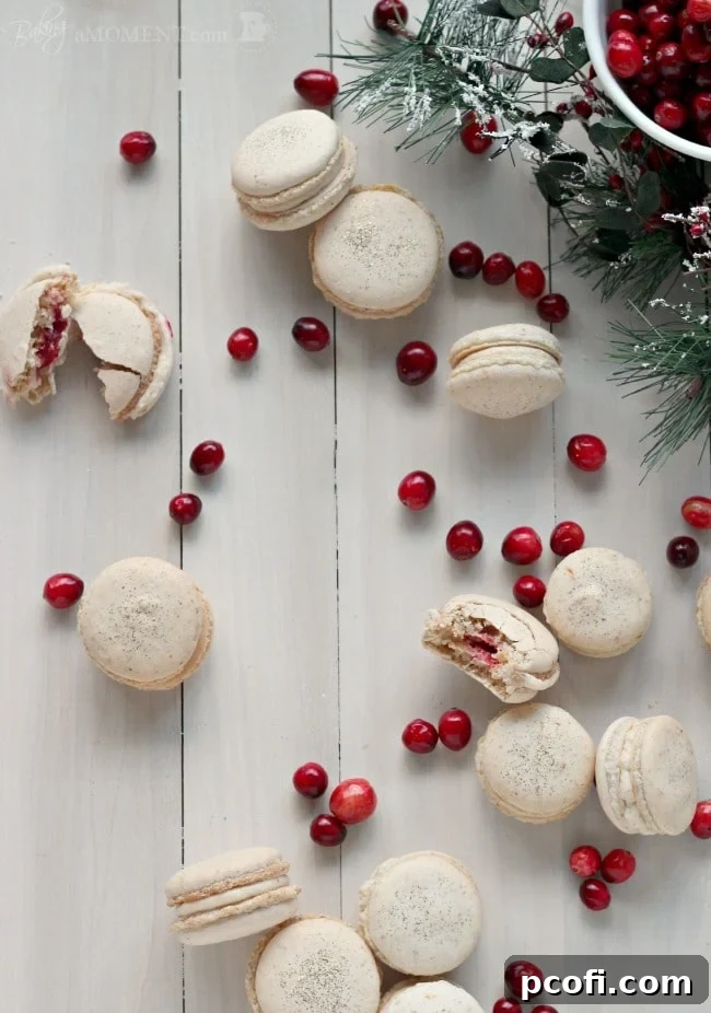 Close-up of Orange Walnut Macarons with Spiced Cream Cheese and Cranberry Filling, showing the layers of flavor.
