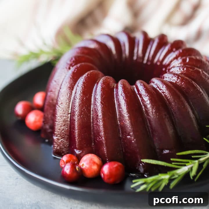 Best Cranberry Sauce Recipe