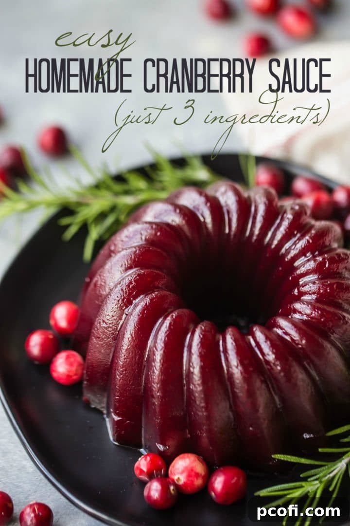 Homemade Cranberry Sauce Recipe