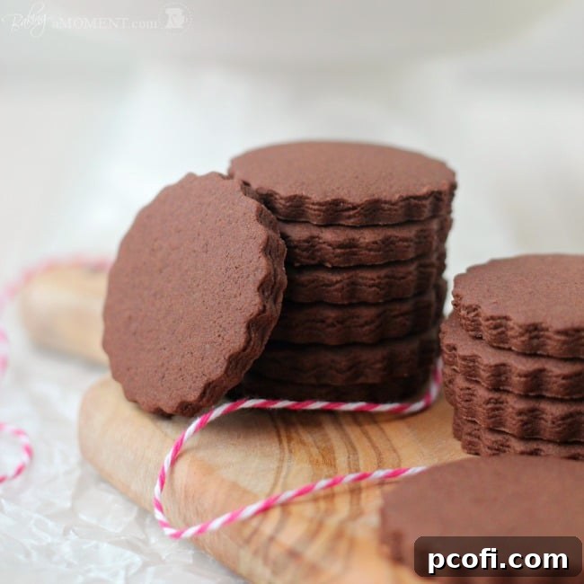 Delicious chocolate sugar cookies with crisp edges and soft centers, beautifully arranged