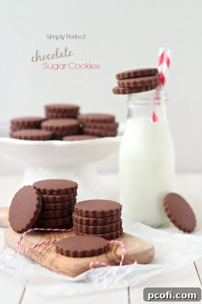Close-up of perfectly shaped chocolate sugar cookies on a baking tray
