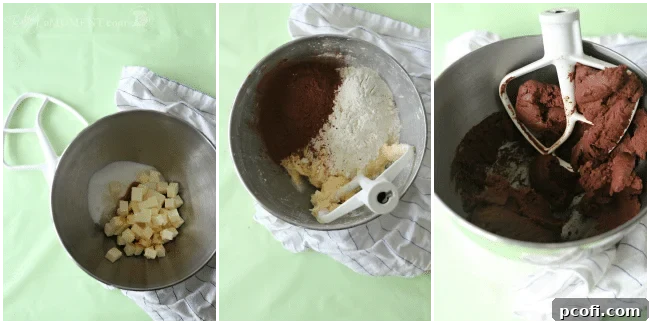 Preparing chocolate sugar cookie dough by rolling it between parchment paper