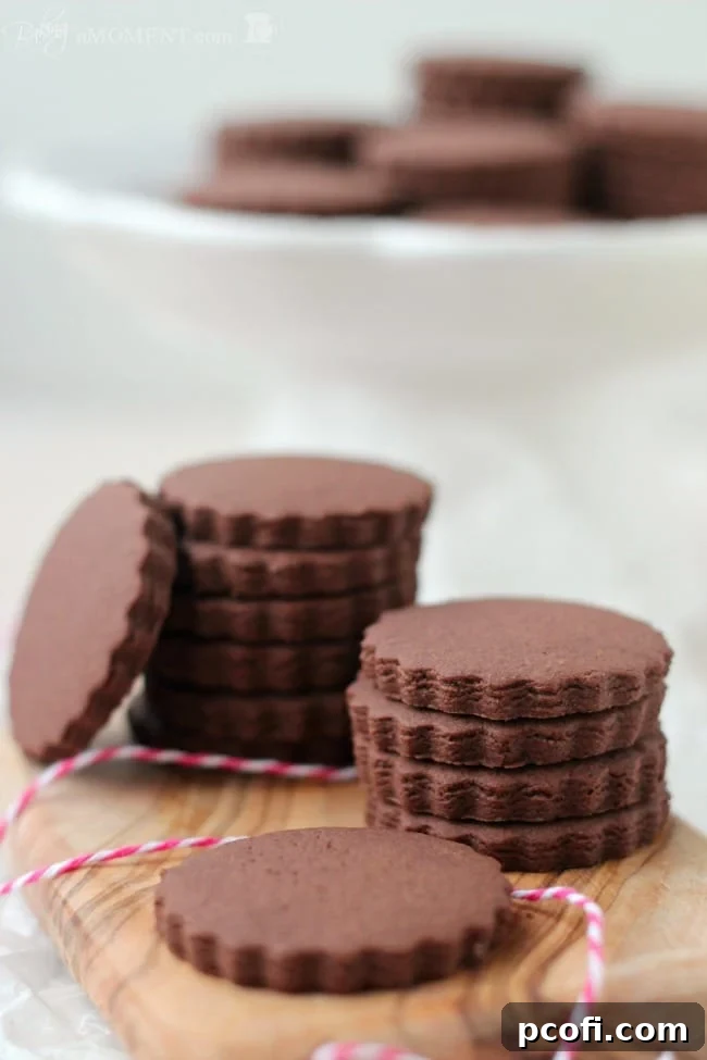 Freshly baked chocolate sugar cookies cooling on a wire rack