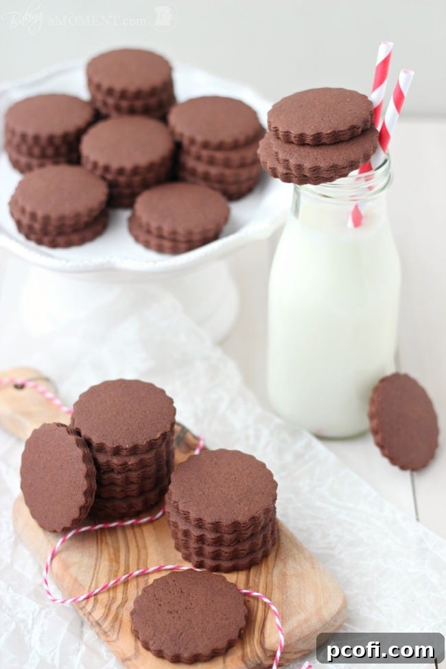 Beautifully decorated chocolate sugar cookies arranged for a festive display