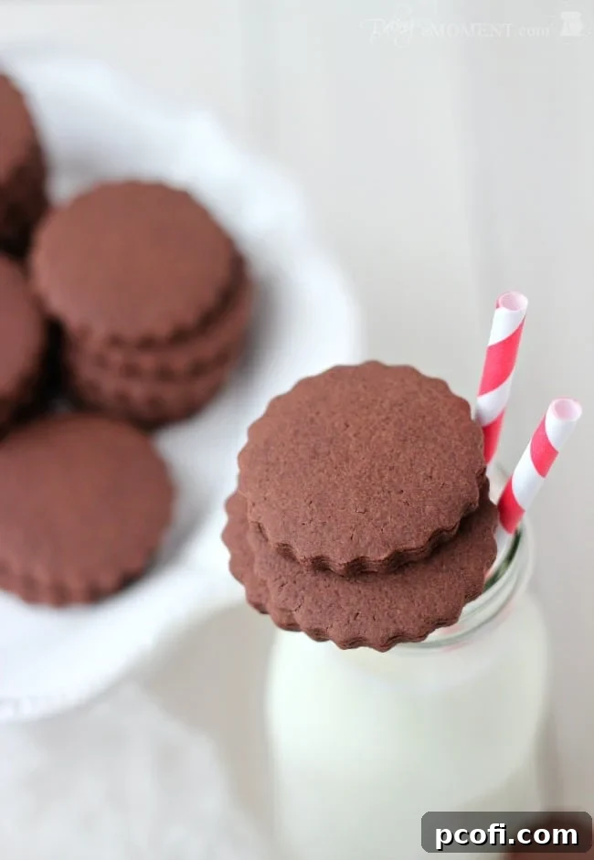 Delicious Chocolate Sugar Cookies from Baking a Moment