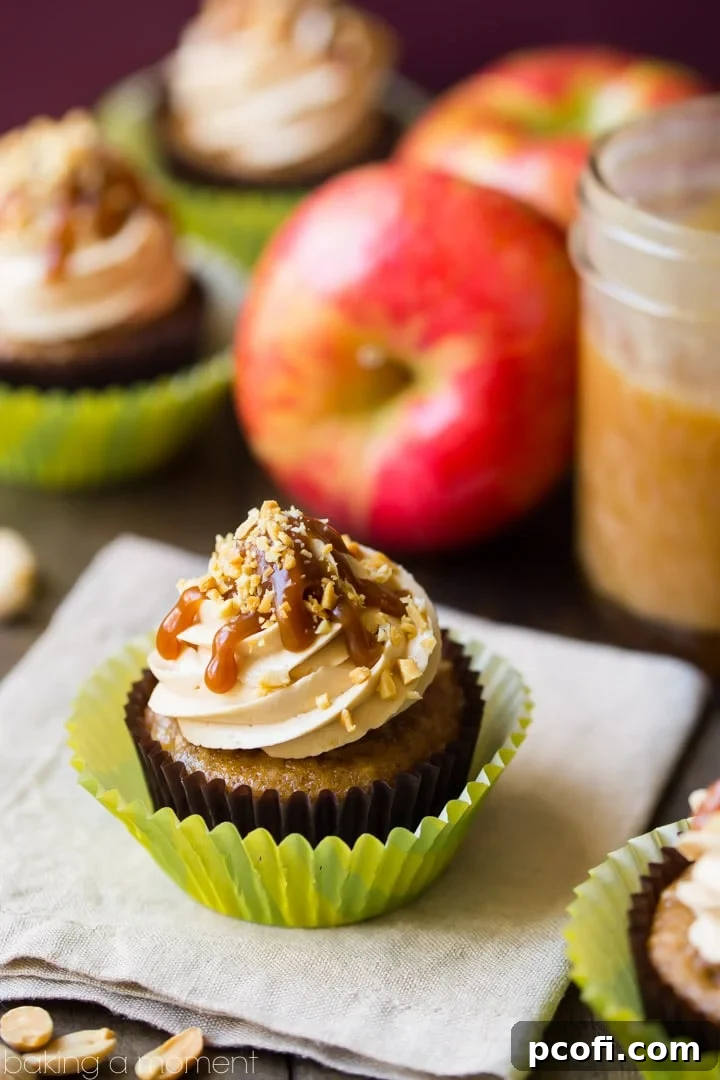 A trio of caramel apple cupcakes, showcasing their rich salted caramel buttercream, generous caramel drizzle, and crunchy peanut topping. The moist apple cake base is visible, promising a perfect bite of fall flavor. Keywords: food, desserts, apple, autumn treats, cupcake recipe.
