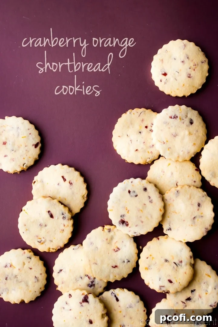 Cranberry Orange Shortbread Cookies: I couldn't get over all the amazing, wintry flavor these had! Perfect for Thanksgiving or Christmas. #food #desserts #cookies