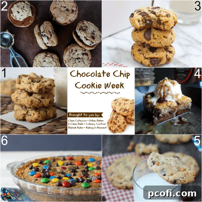 6 Fab Recipes for #ChocChipCookieWeek | Baking a Moment