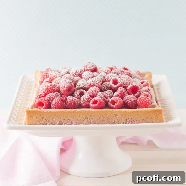 Irresistible Raspberry Magic Custard Cake | Baking a Moment