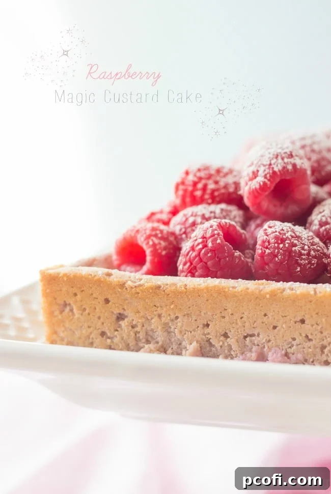 Close-up of a slice of Raspberry Magic Custard Cake revealing its layers | Baking a Moment