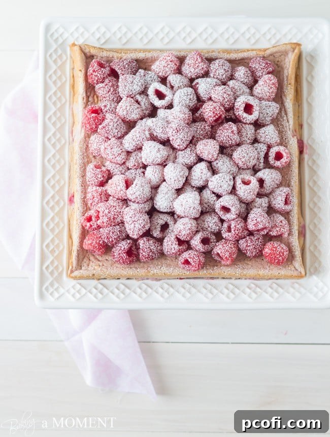 Raspberry Magic Custard Cake garnished with powdered sugar | Baking a Moment