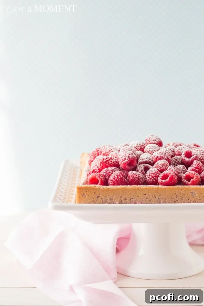 Ready-to-serve Raspberry Magic Custard Cake slices | Baking a Moment