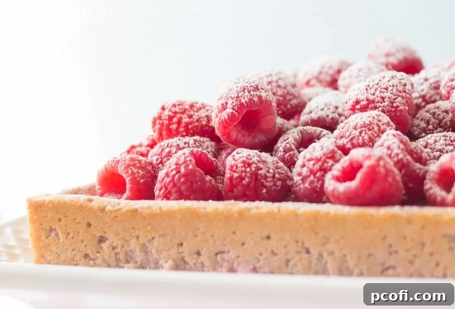 Overhead view of Raspberry Magic Custard Cake on a picnic table | Baking a Moment