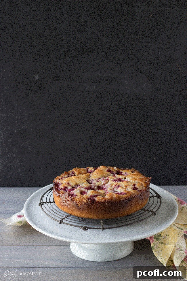 Raspberry Lemon Sweet Roll Cake with Buttermilk Glaze | Close-up of cake texture and fruit.