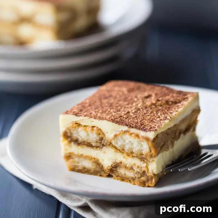 A delectable slice of classic tiramisu on a pristine white plate, set against a rich dark blue background, ready to be enjoyed.