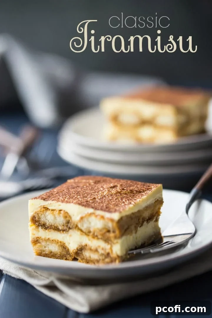 Two exquisite slices of homemade tiramisu, beautifully plated on white dishes with a contrasting dark blue backdrop, highlighting the dessert's elegant layers.