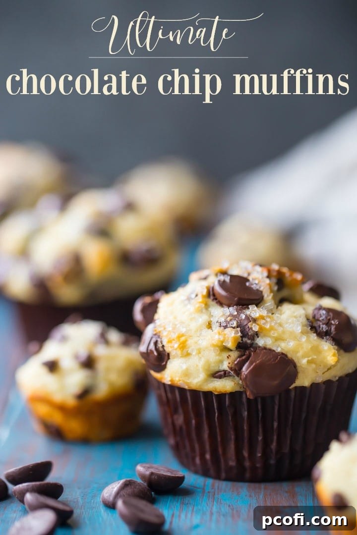 Vertical image with text overlay of a freshly baked chocolate chip muffin on an aqua-painted wood background, with chocolate chip mini-muffins in the background, showcasing its delicious texture and generous chocolate chips.