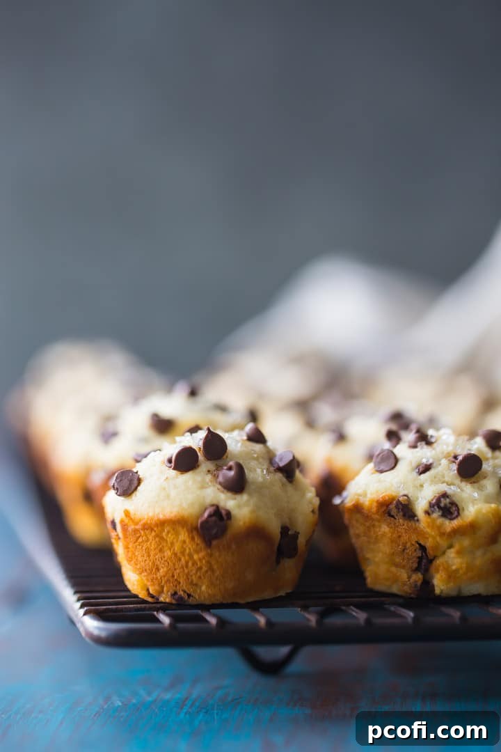 Vertical image of a batch of perfectly baked mini chocolate chip muffins cooling on a wire rack, ready to be enjoyed.