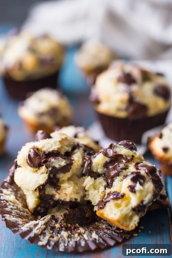 Vertical image of a freshly baked chocolate chip muffin, broken in half to reveal warm, gooey, melted chocolate chips inside, emphasizing its moist and fluffy interior.