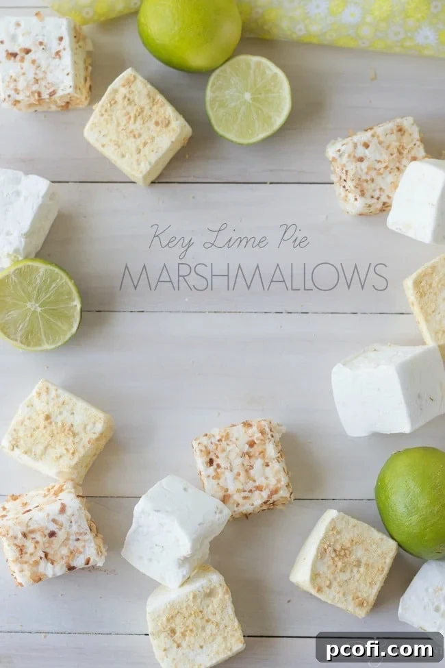 Homemade Key Lime Marshallows | Easy Citrus Dessert