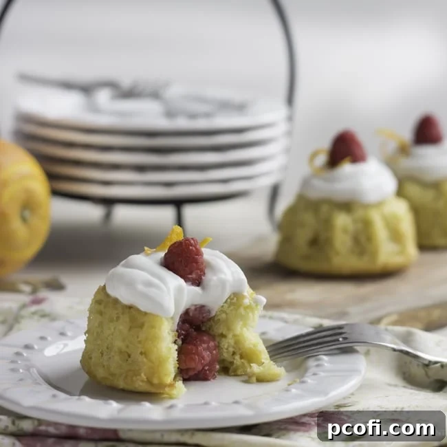 Delicious Orange Raspberry Mini Bundt Cakes topped with fluffy coconut cream, perfect for a summer treat.