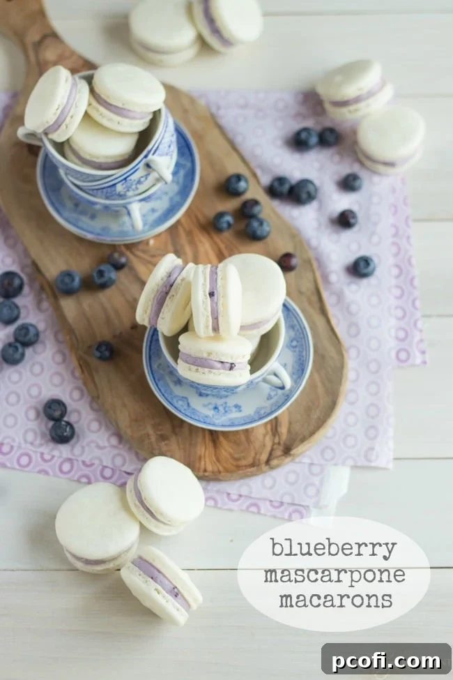 Delicate Almond French Macarons are Sandwiched with a Rich and Creamy Blueberry Mascarpone Filling. A Fresh way to enjoy Seasonal Summer Berries!