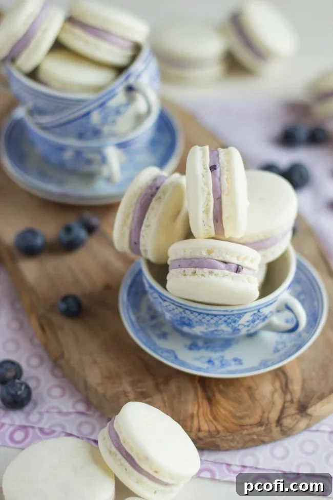 Blueberry Mascarpone Macarons | Baking a Moment