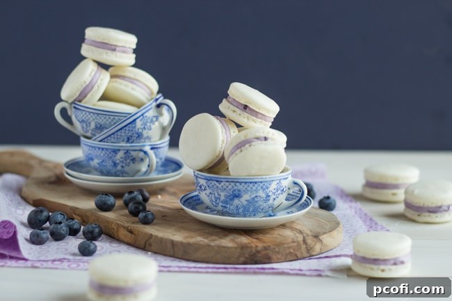 Blueberry Mascarpone Macarons | Baking a Moment
