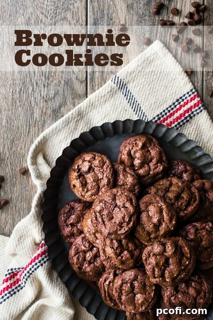 Homemade chocolate brownie cookie recipe with extra chocolate chips, offering a soft and incredibly fudgy texture.