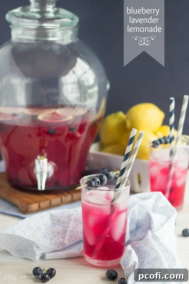 Close-up of Blueberry Lavender Lemonade in a glass, with fresh blueberries, lemon, and a sprig of lavender for garnish.