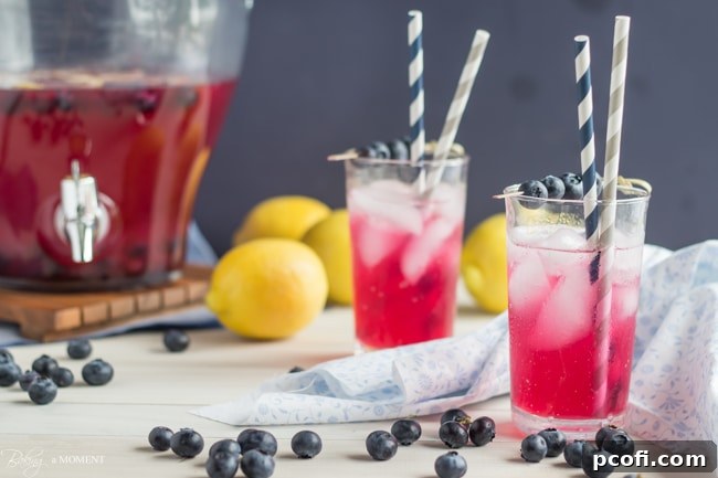 Overhead shot of Blueberry Lavender Lemonade with blueberries, lemons, and lavender flowers arranged around it.
