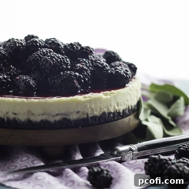 Blackberry Goat Cheese Cheesecake | Baking a Moment