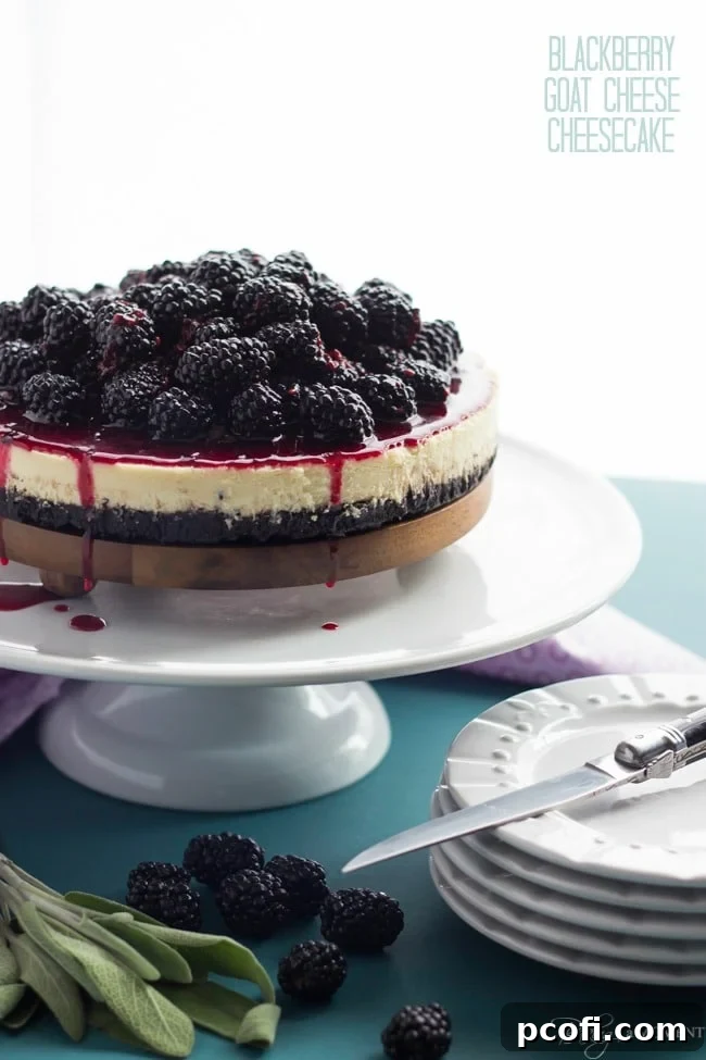 Blackberry Goat Cheese Cheesecake | Baking a Moment
