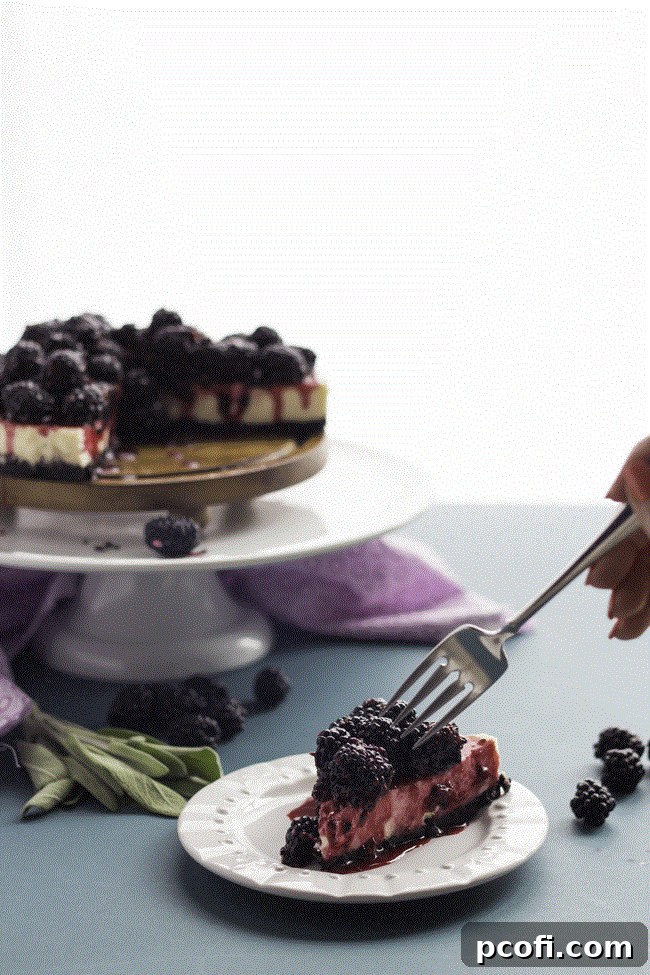 Blackberry Goat Cheese Cheesecake | Baking a Moment