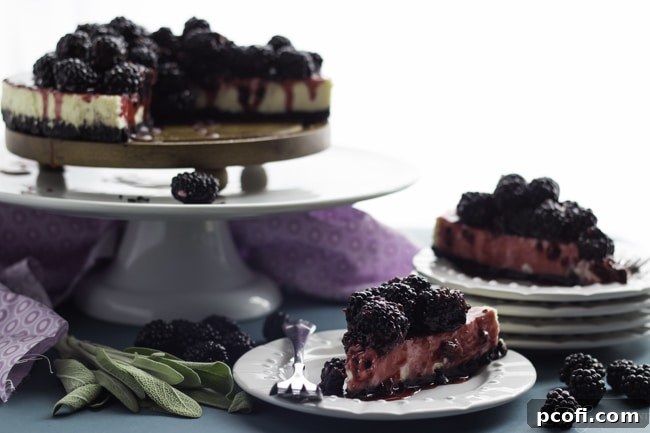Blackberry Goat Cheese Cheesecake | Baking a Moment