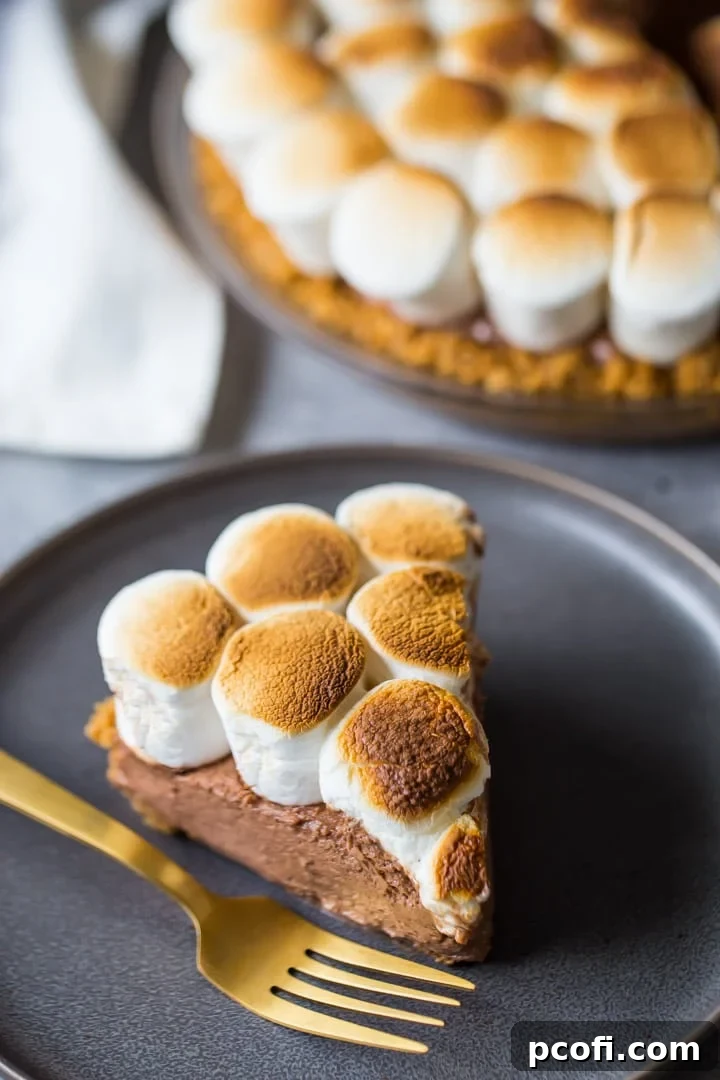 No-Bake S'mores Pie Recipe - Quick and easy dessert featuring a rich chocolate mousse and golden toasted marshmallows, perfect for any occasion.