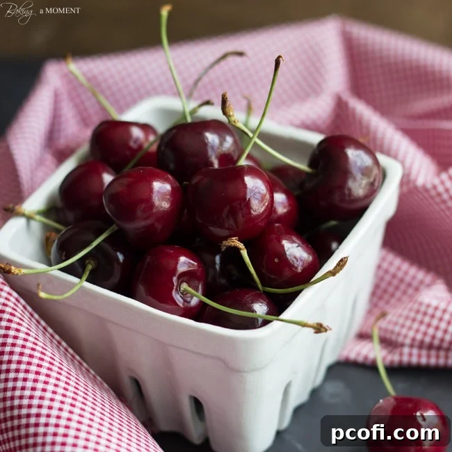 Delicious Red Cherries Ready for Summer Recipes