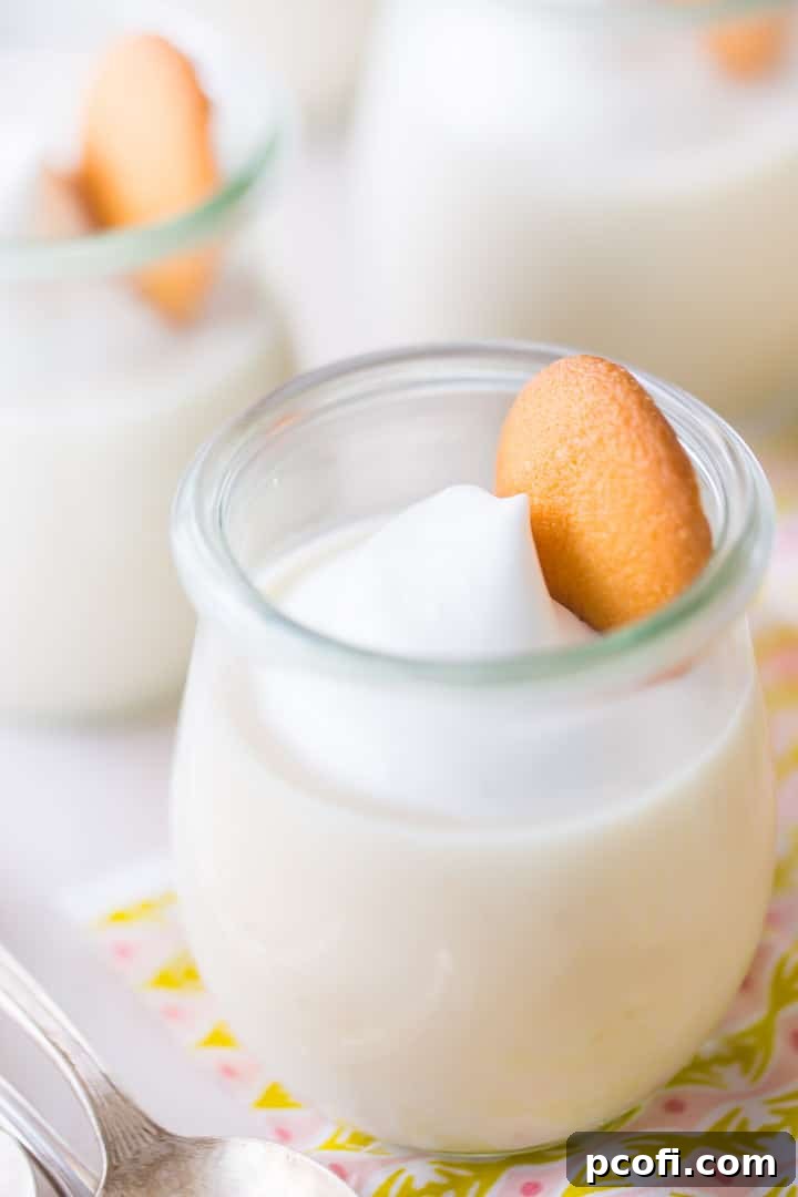 Homemade Creamy Vanilla Pudding