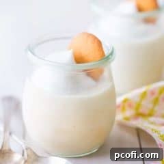 Best Vanilla Pudding Recipe