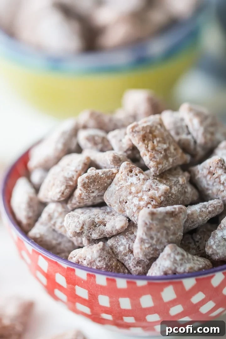Close-up of Muddy Buddies or Puppy Chow ingredients: semi-sweet chocolate chips, peanut butter, unsalted butter, vanilla extract, kosher salt, crispy cereal squares, powdered sugar.