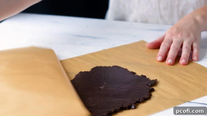 Homemade Oreo dough rolled evenly to 1/4-inch thickness between parchment paper.