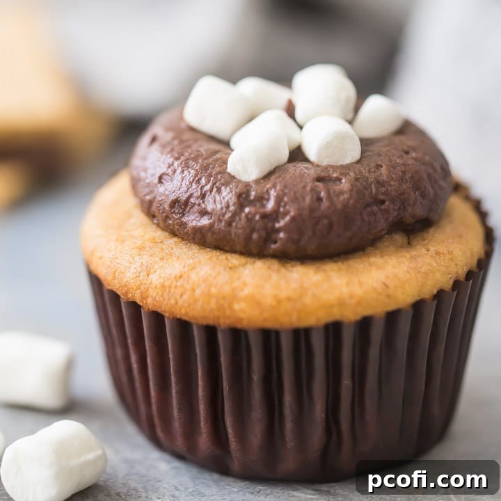 Best S'mores Cupcakes Recipe with Marshmallow Filling